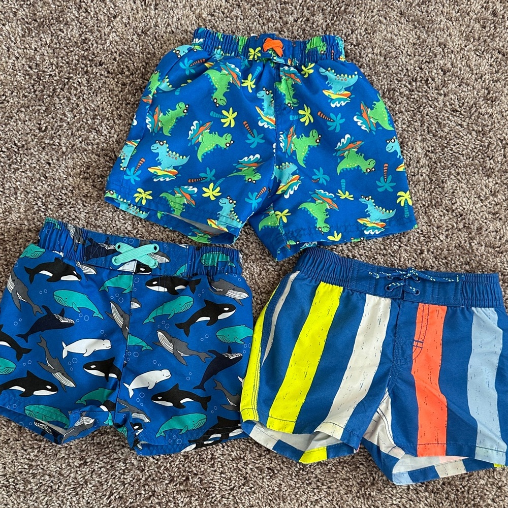5 pieces total: 3 Swim Shorts & 2 swim top (Disney)